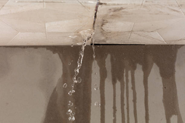 Professional Sewage Cleanup technician working in Jacksboro, TX